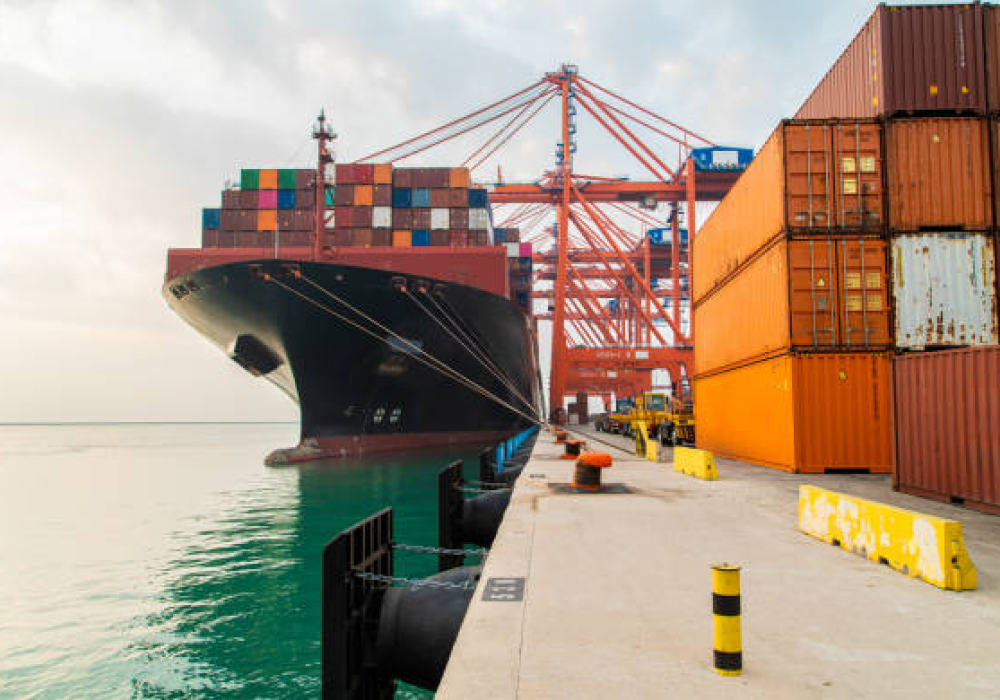 bulk cargo logistics