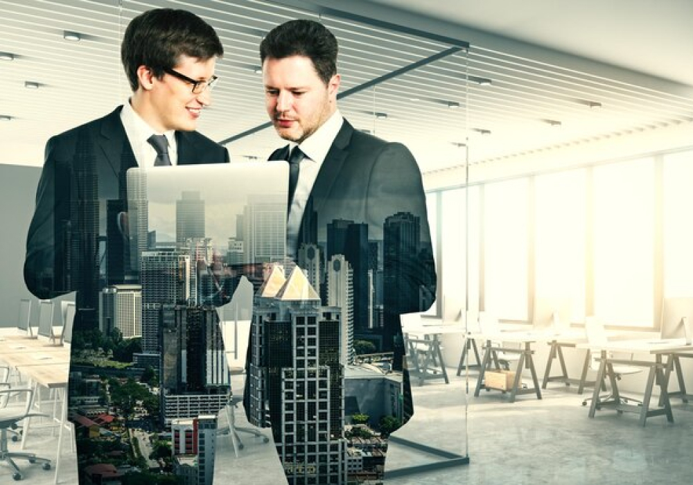 the relationship between scaling and institutional capacity